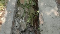 IMG-20210802-WA0012