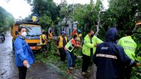 IMG-20211223-WA0054