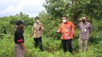 Kemendagri Berdayakan Warga Kelola Lahan (1)