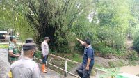 IMG-20221118-WA0007