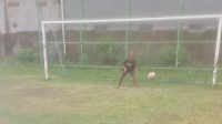IMG-20221205-WA0017