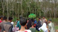 IMG-20221206-WA0011
