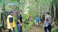 IMG-20221224-WA0000
