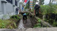 WhatsApp Image 2023-03-04 at 14.54.43