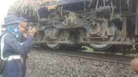 IMG-20230718-WA0060