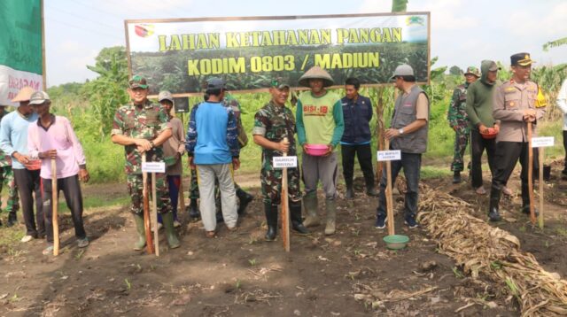 Tanam Jagung di Madiun, Danrem 081/DSJ Siap Bantu Kebutuhan Air Untuk Pertanian.