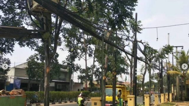 Menghadapi Musim Penghujan, Disbudpar Kota Tangerang Buka Layanan Pemangkasan Pohon Gratis.