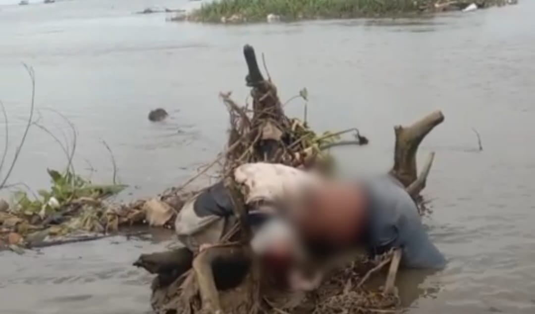 Geger ! Mayat Pelajar Ditemukan di Muara Kali Adem Sukadiri, Polisi Lakukan Penyelidikan.