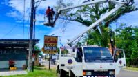 Satu Tahun Zakiyah–Najib, Program Optimalisasi Terang Jalan Sentuh 20 Kecamatan, 555 Unit PJU Baru Dipasang.
