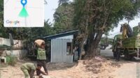 Respons Cepat Laporan Warga, DLH Kota Tangerang Tangani Ranting Pohon Membahayakan di Periuk