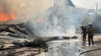 Pabrik Lampu Bohlam di Batuceper Terbakar, 60 Personel Damkar dan 16 Armada Dikerahkan